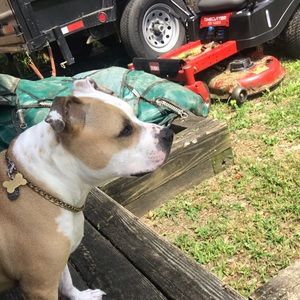 Meet your Posher, Liam